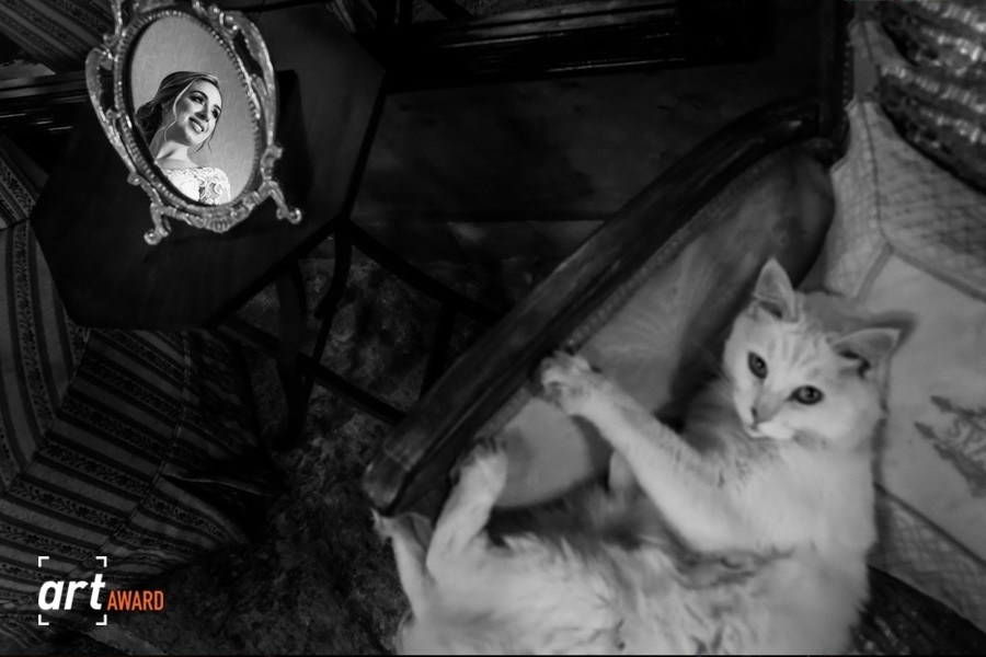 FINEART ASSOCIATION. Wedding photographer in Orlando, Boston & New York Anderson Marques