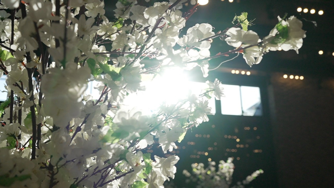 VIA / BASICO. Wedding and events photographers Studio Shalom