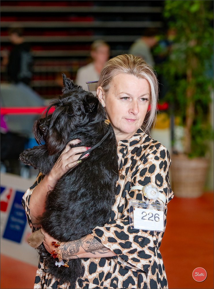 Expo canine 🇫🇷 MARGNY LES COMPIEGNE 06-07/09/2025. Photographe à Strasbourg | Portraits, Studio, Enfants, Événements