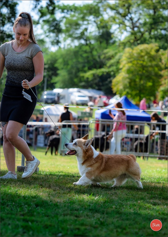 🇫🇷 Romorantin - Exposition Canine Nationale. Photographe à Strasbourg | Portraits, Studio, Enfants, Événements