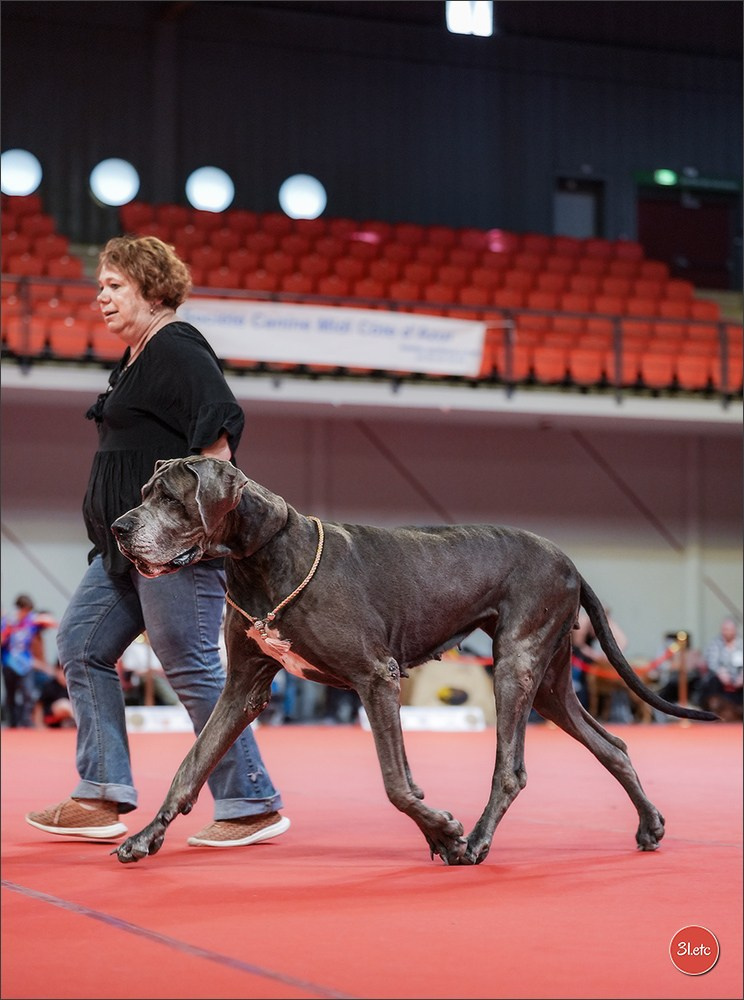 Expo canine 🇫🇷 Martigues 18-19/04/2026