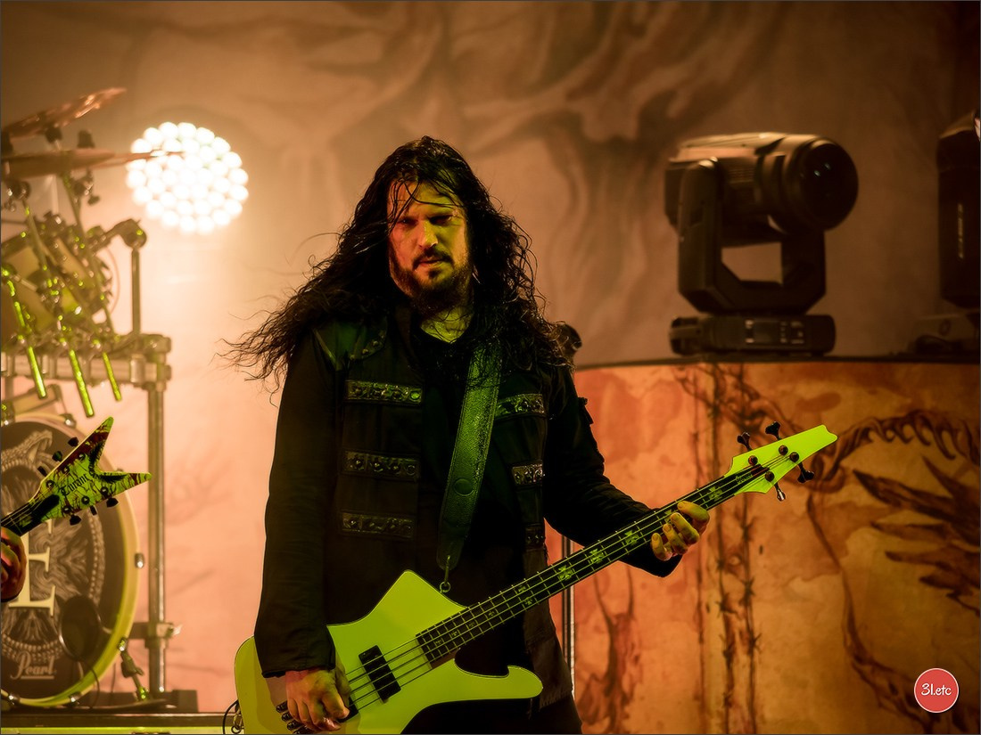 Concerts . Carnavals . Festivals. Photographe à Strasbourg | Portraits, Studio, Enfants, Événements