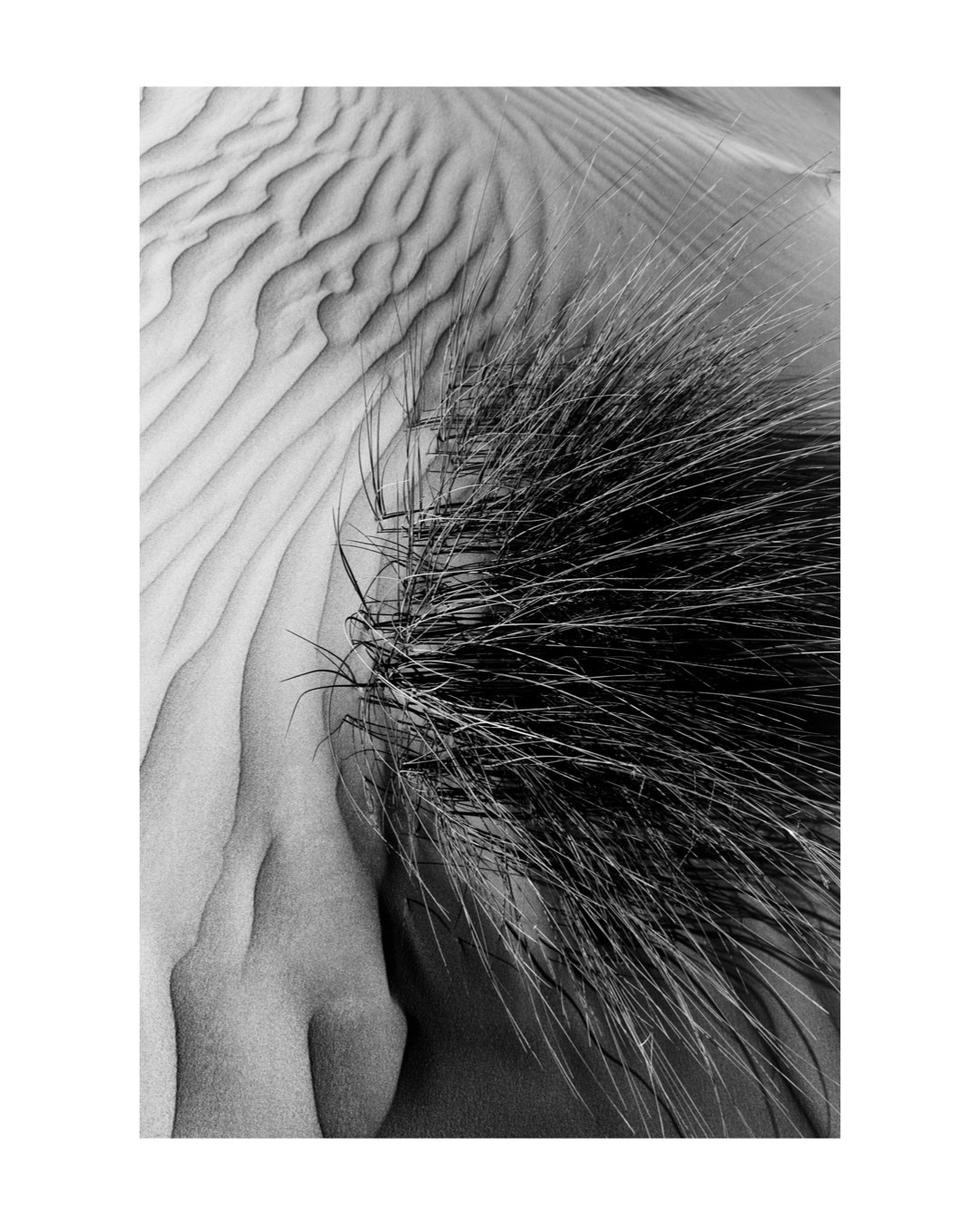 Art prints. Anka Fateeva Website