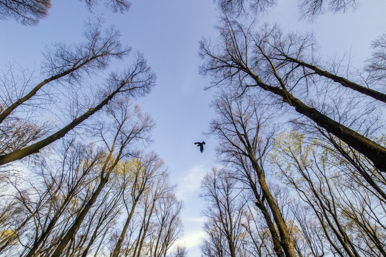 Работы учеников. Фотограф и преподаватель фотографии в Белграде