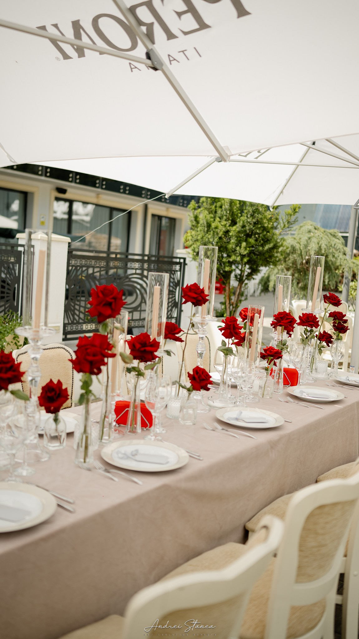 Claudia & Mircea. Andrei Stanea