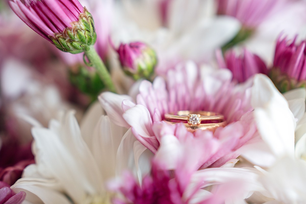 WeddingPhotos. Wedding photos and videos. Cancun, Tulum, Playa del Carmen, Los Cabos