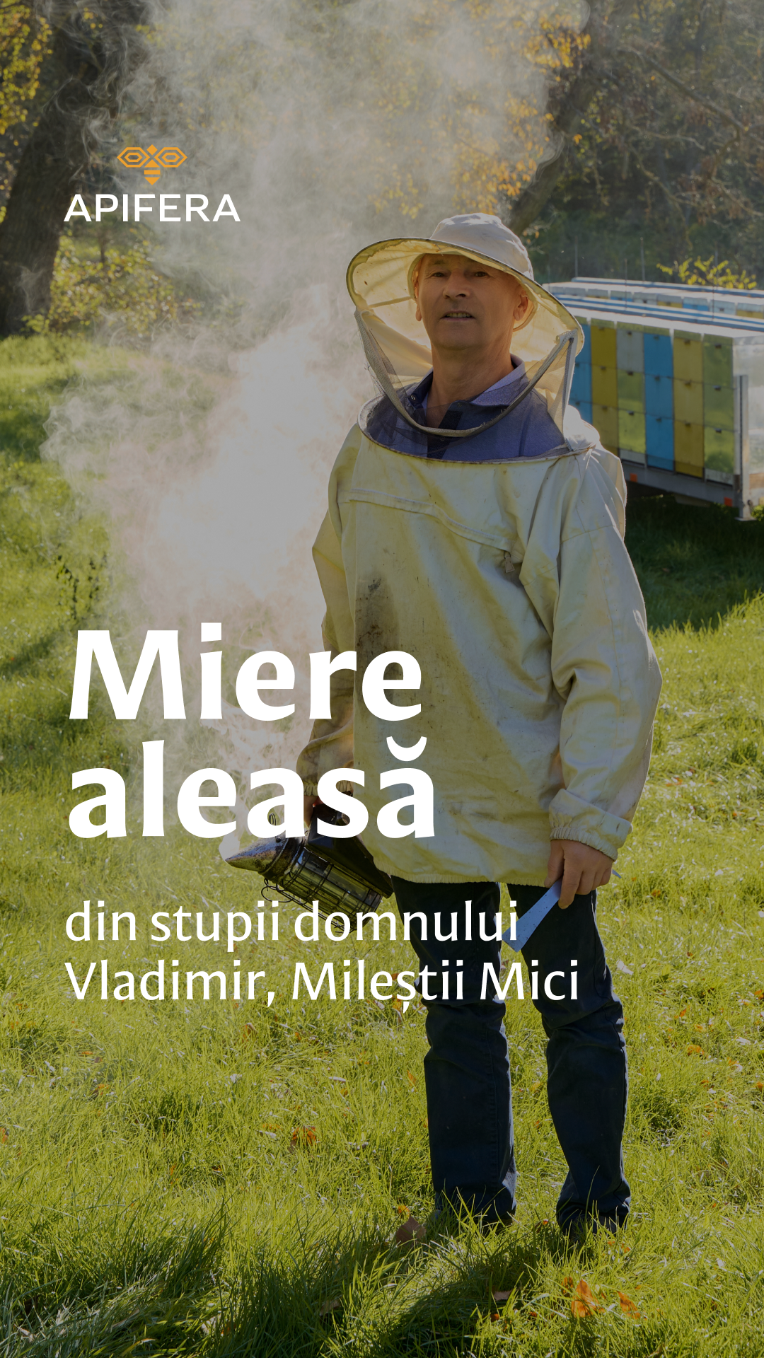 E-commerce. Привет