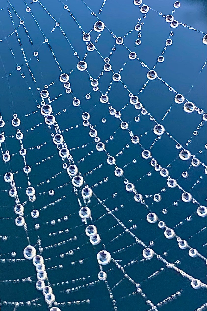 Пейзажи. Фотограф Таня Уорд Бидефорд Пермь Эксетер Плимут Лондон