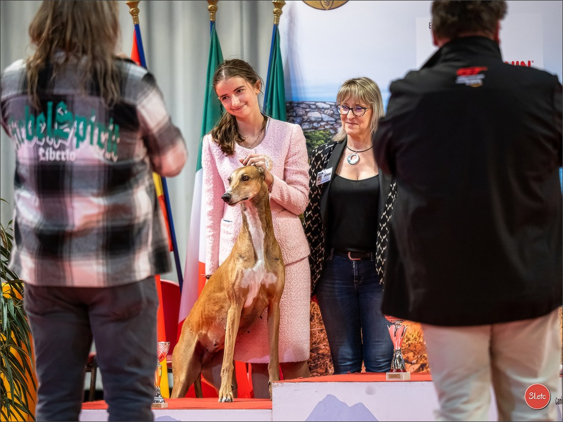 Expo canine 🇫🇷 Martigues  19-20/04/2025. Photographe à Strasbourg | Portraits, Studio, Enfants, Événements