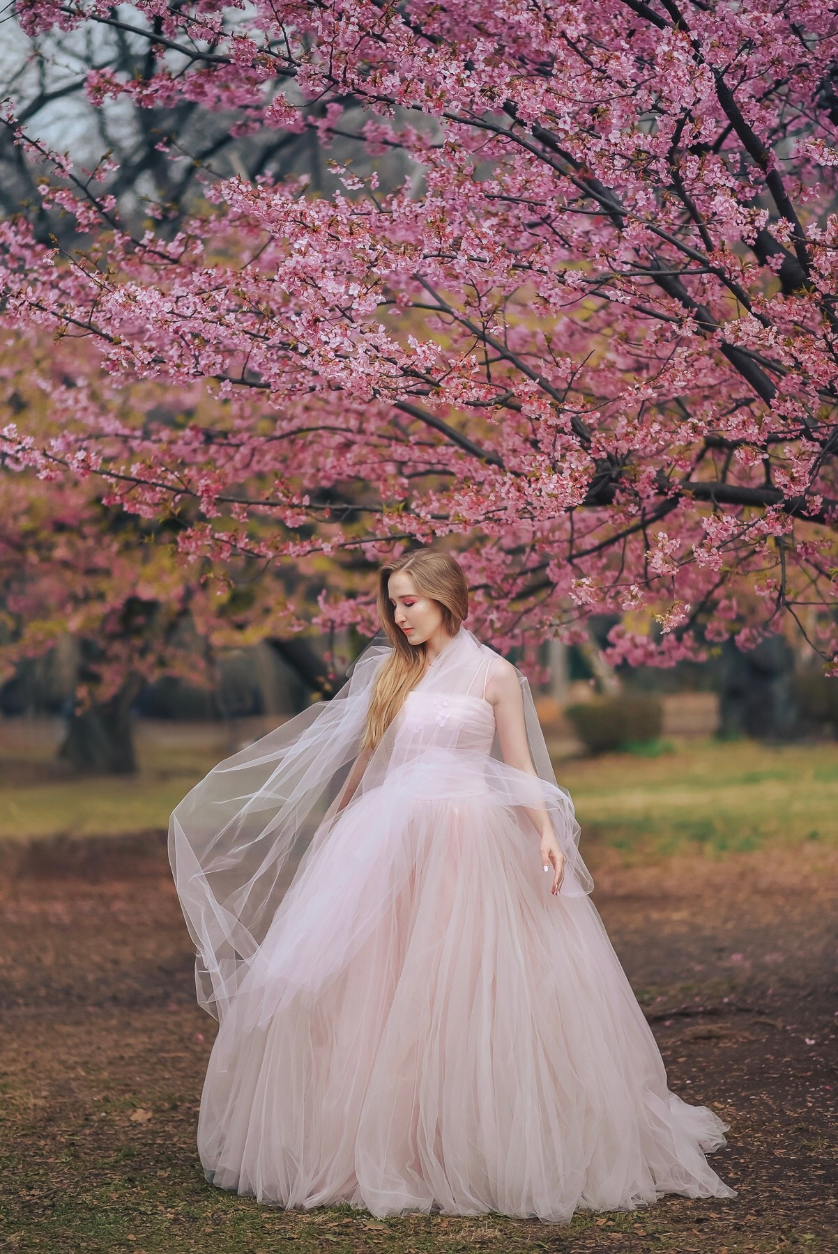 ART Project. Photographer in Tokyo, Japan