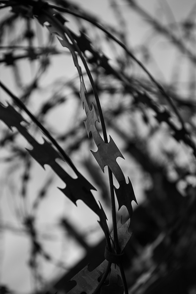 Работы учеников. Фотограф и преподаватель фотографии в Белграде