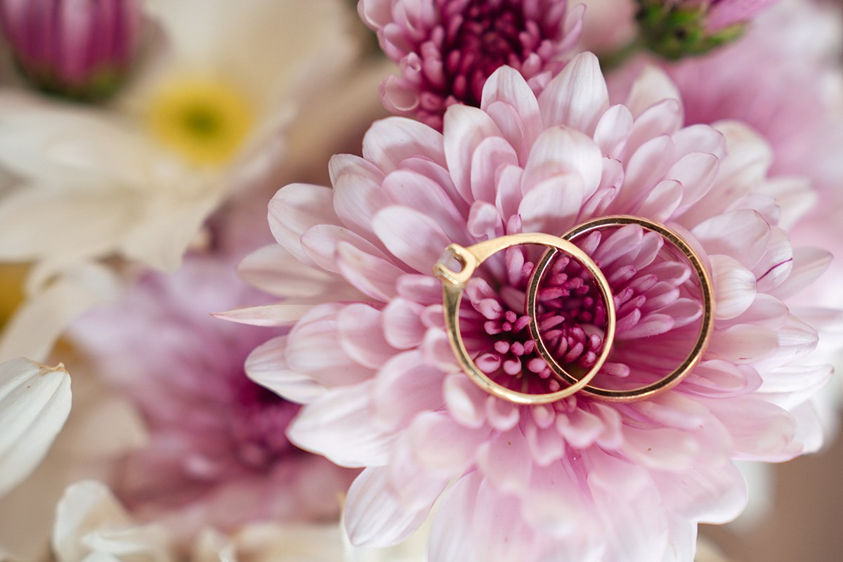 WeddingPhotos. Wedding photos and videos. Cancun, Tulum, Playa del Carmen, Los Cabos