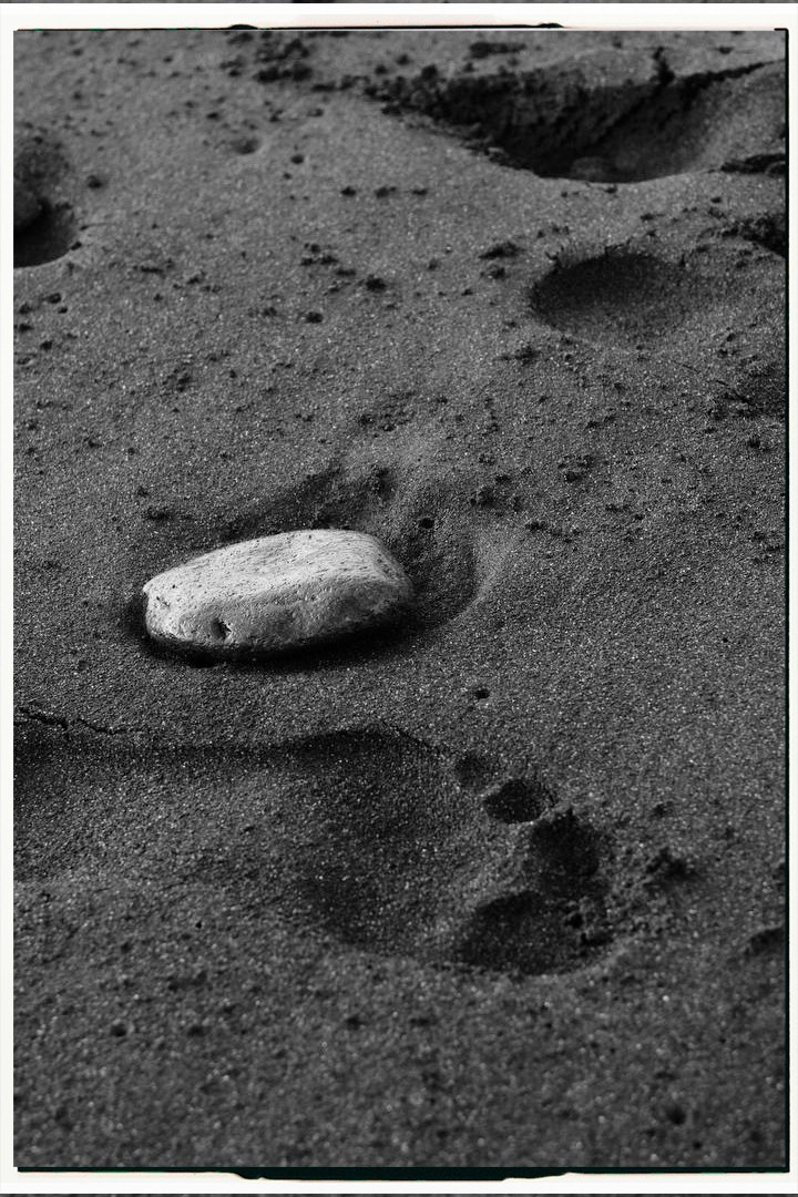 Мария и Назар. Portrait photographer in Madeira — Marina Shtukina