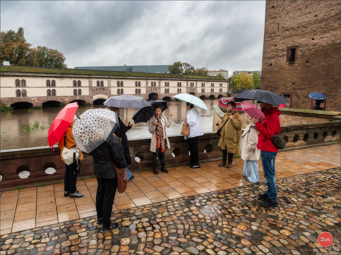 Ретрит в Эльзасе с Марией Ланг. Photographe à Strasbourg | Portraits, Studio, Enfants, Événements