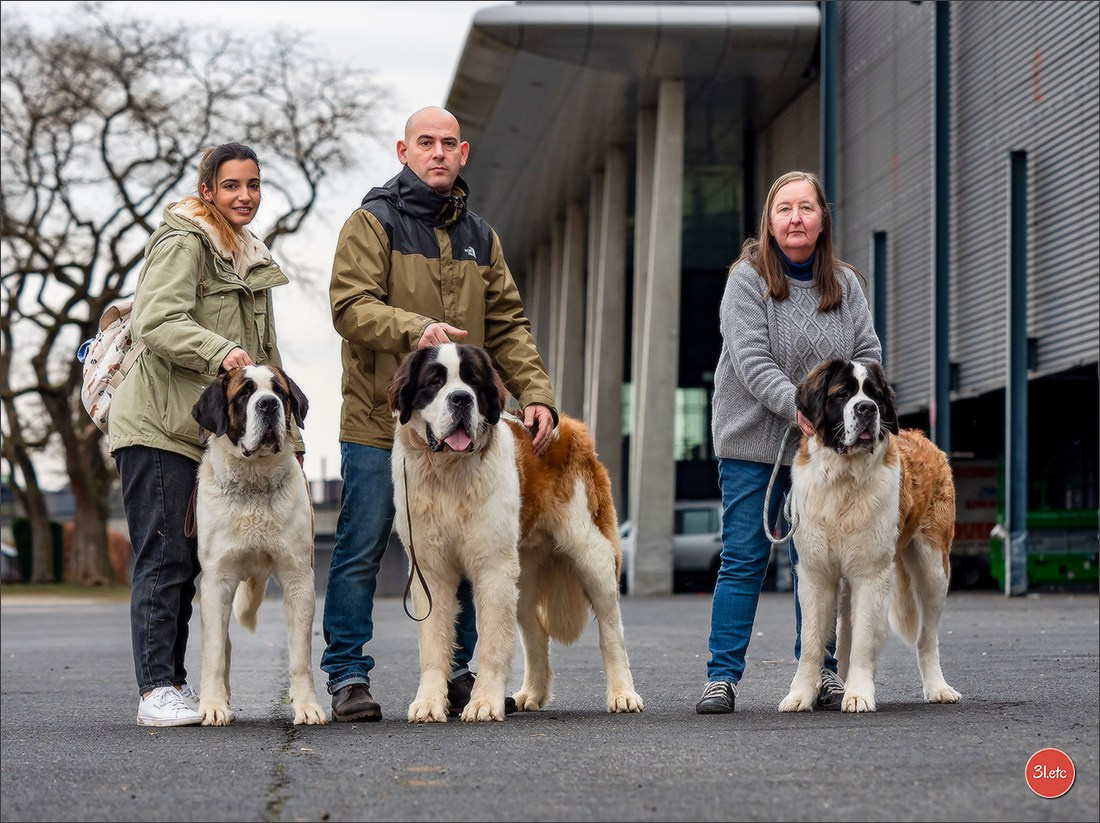 🇩🇪 Offenburg International Dogshow 15-16.03.25 🇩🇪. Photographe à Strasbourg | Portraits, Studio, Enfants, Événements