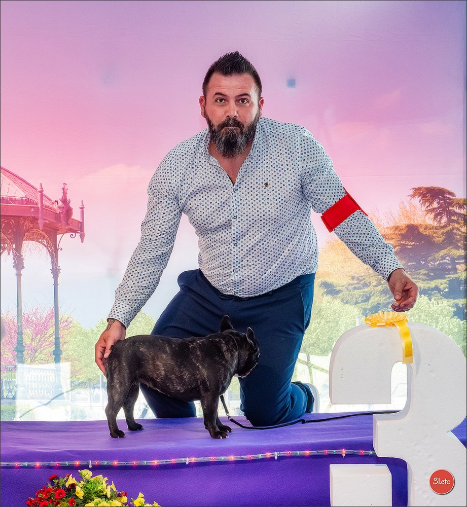 Expo canine 🇫🇷 Valence 03-04/05/2025. Photographe à Strasbourg | Portraits, Studio, Enfants, Événements