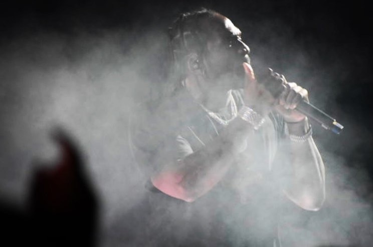 Lens Work From the Field 13