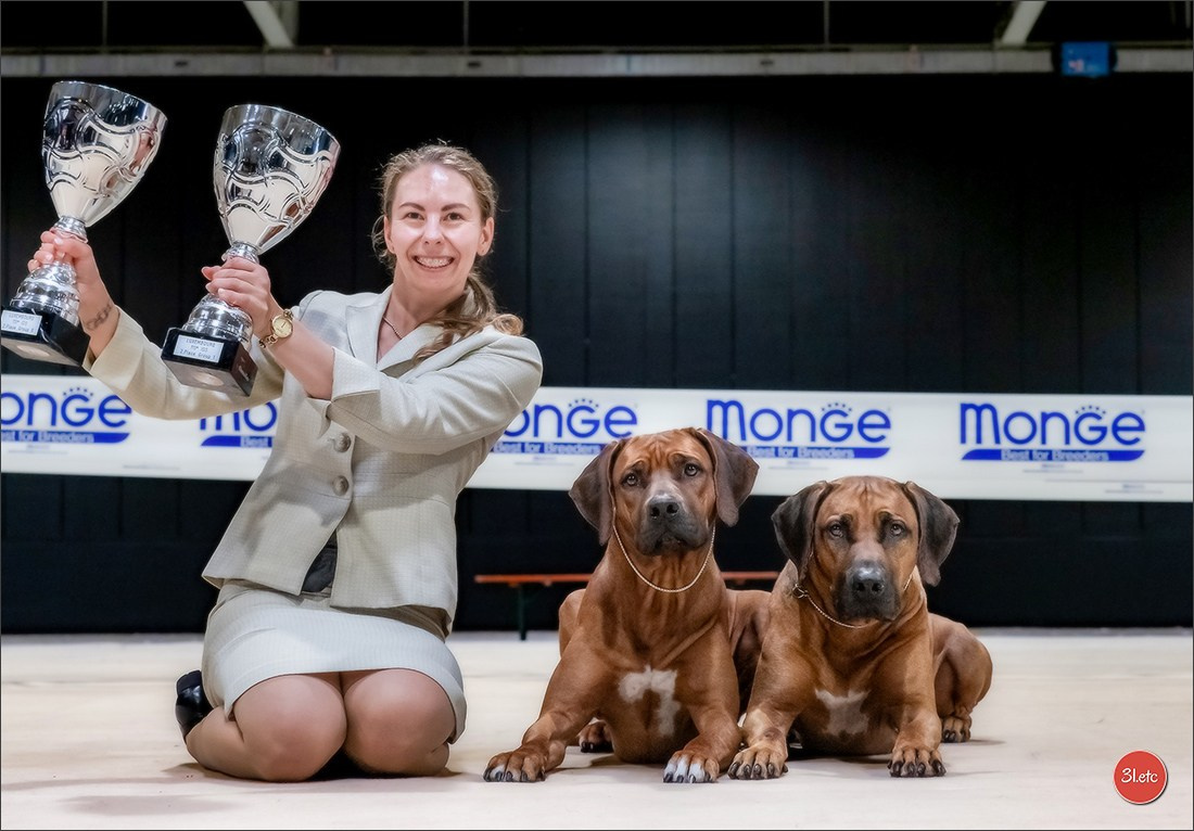 🇱🇺 LUXEMBOURG 🇱🇺 International Dog Show 🇱🇺 30/08 - 31/08/2025. Photographe à Strasbourg | Portraits, Studio, Enfants, Événements