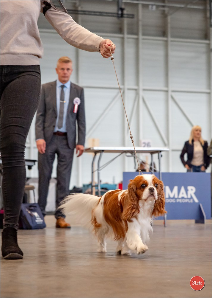 Photographie animalière. Photographe à Strasbourg | Portraits, Studio, Enfants, Événements