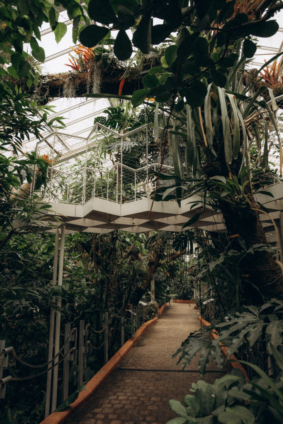 Female portrait session. Little Birdie – Jouw familie- en huwelijksfotograaf in België en daarbuiten
