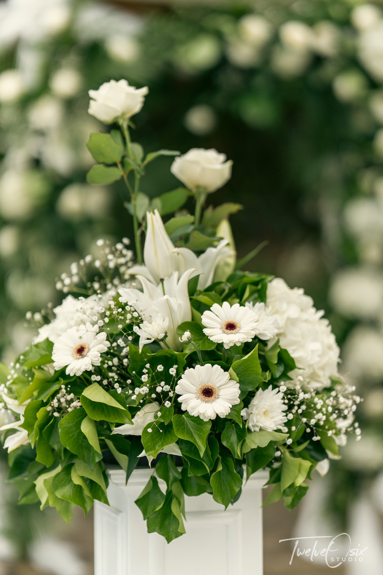 Weddings/Engagements