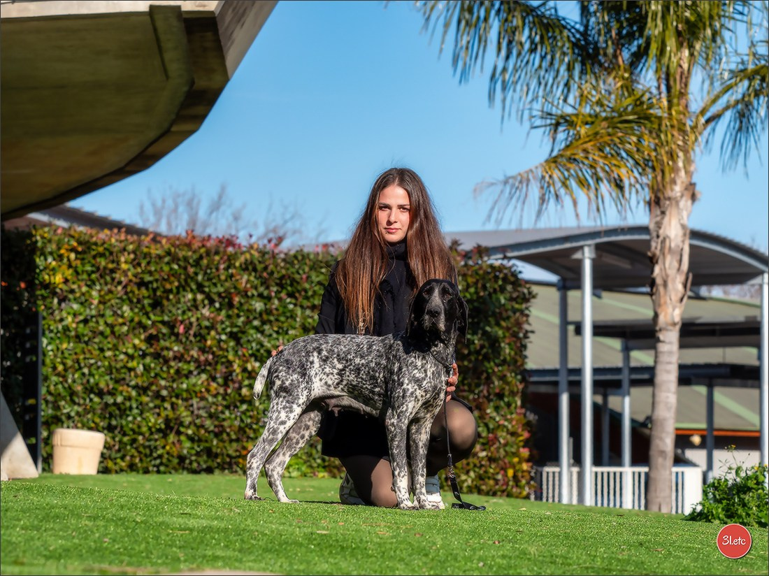 🇫🇷Exposition Canine Internationale de Perpignan. Photographe à Strasbourg | Portraits, Studio, Enfants, Événements