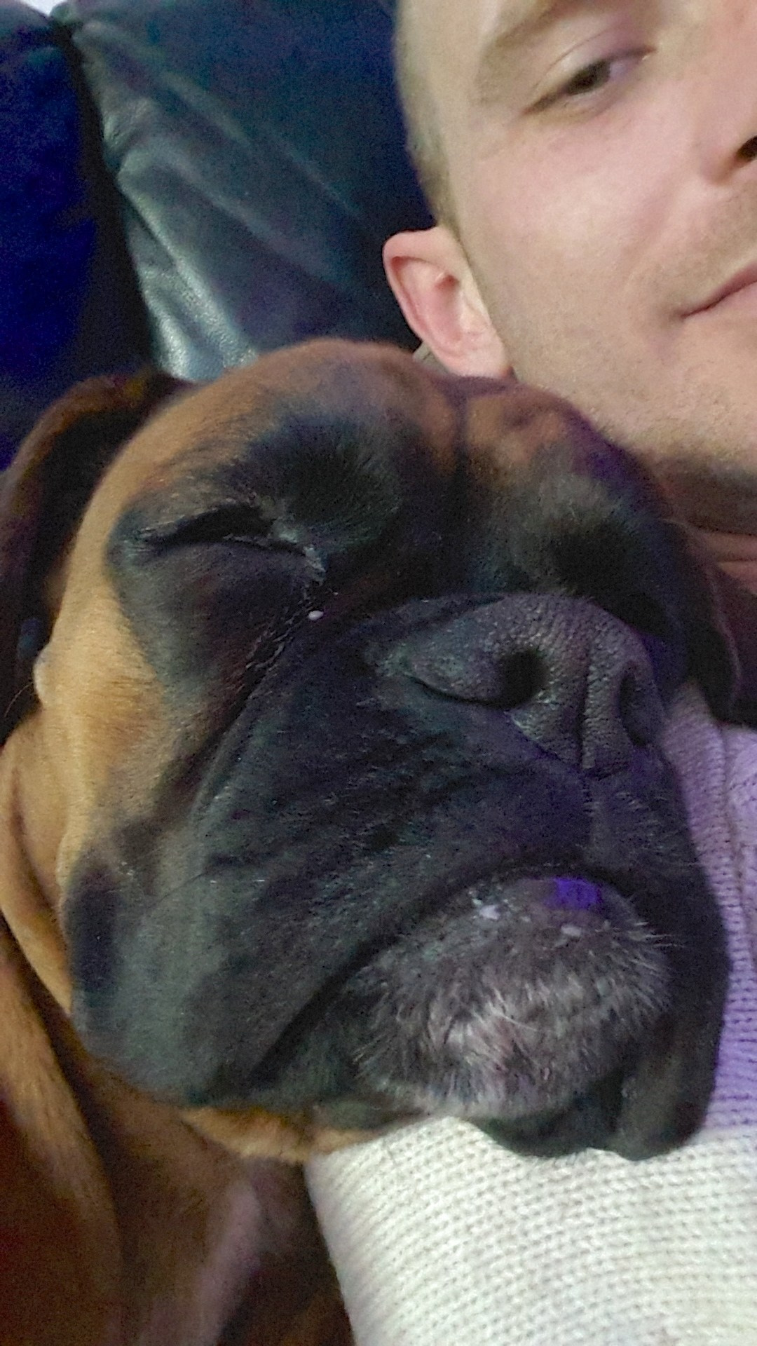 My ״Star״ Boxer Dog