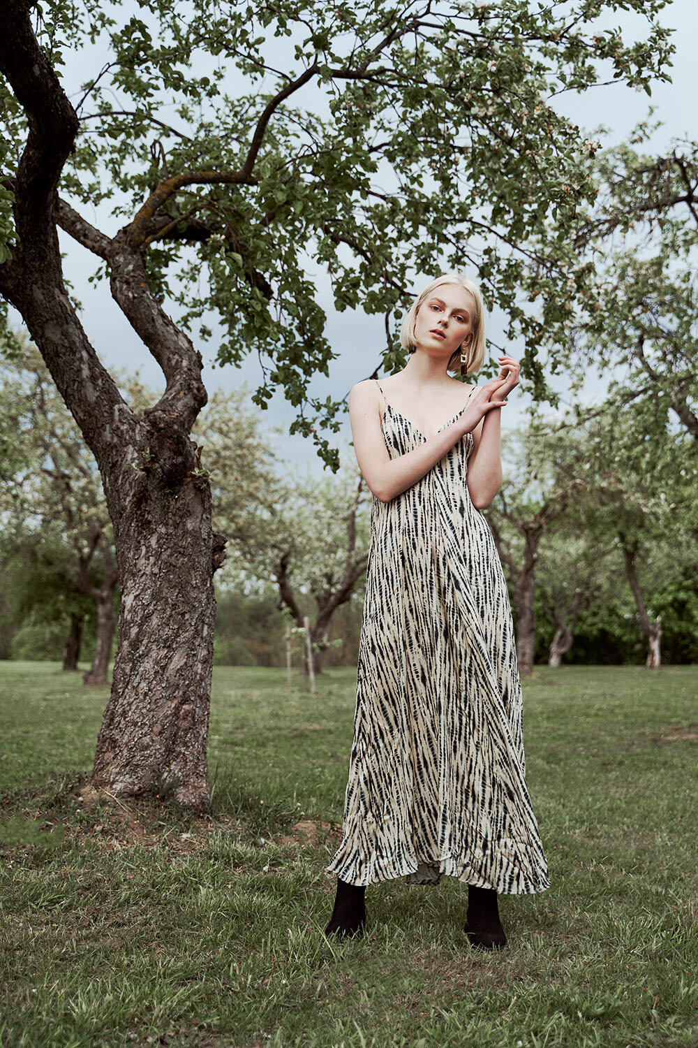 Spring Bloom. Fotografas Jevgenijus Misevič — misevicphoto.com