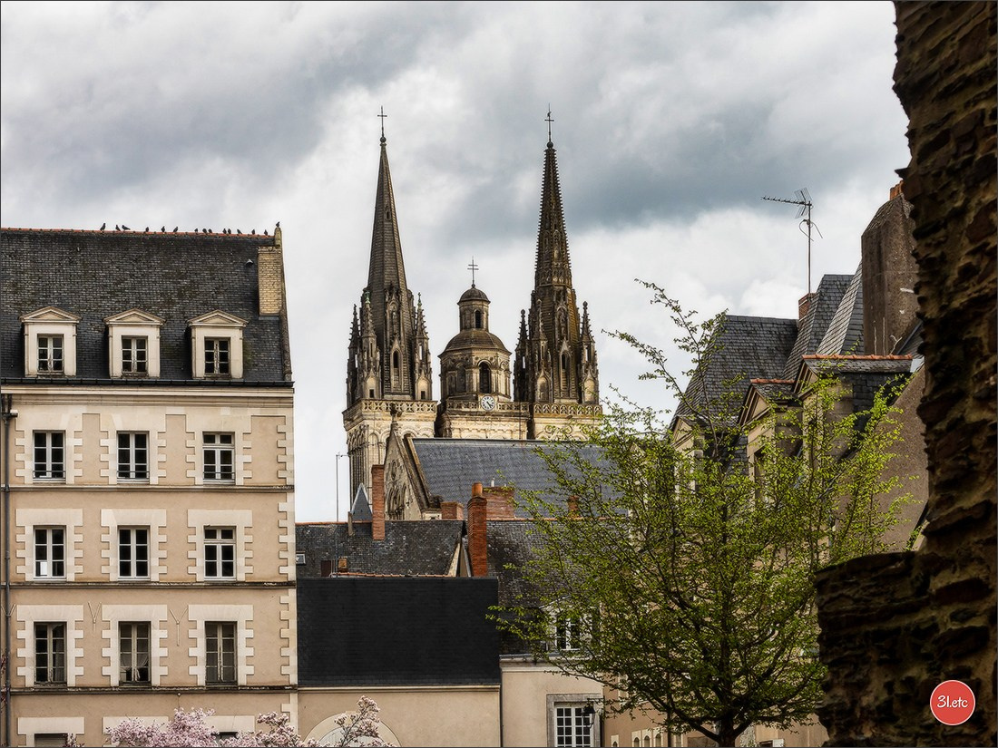 Angers. Photographe à Strasbourg | Portraits, Studio, Enfants, Événements