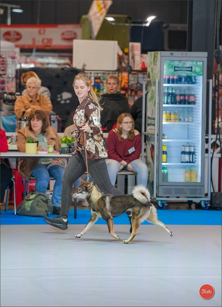 🇱🇺 LUXEMBOURG 🇱🇺 International Dog Show 4-5/04/2026. Photographe à Strasbourg | Portraits, Studio, Enfants, Événements