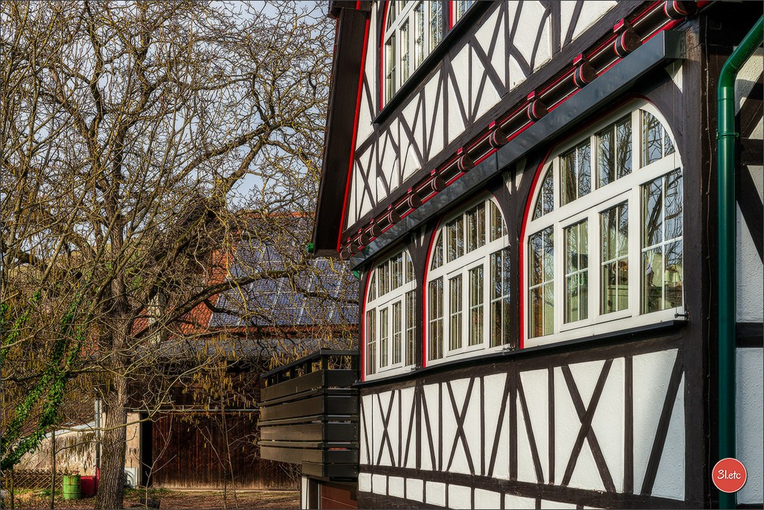 Randonnée en Forêt-Noire. Photographe à Strasbourg | Portraits, Studio, Enfants, Événements
