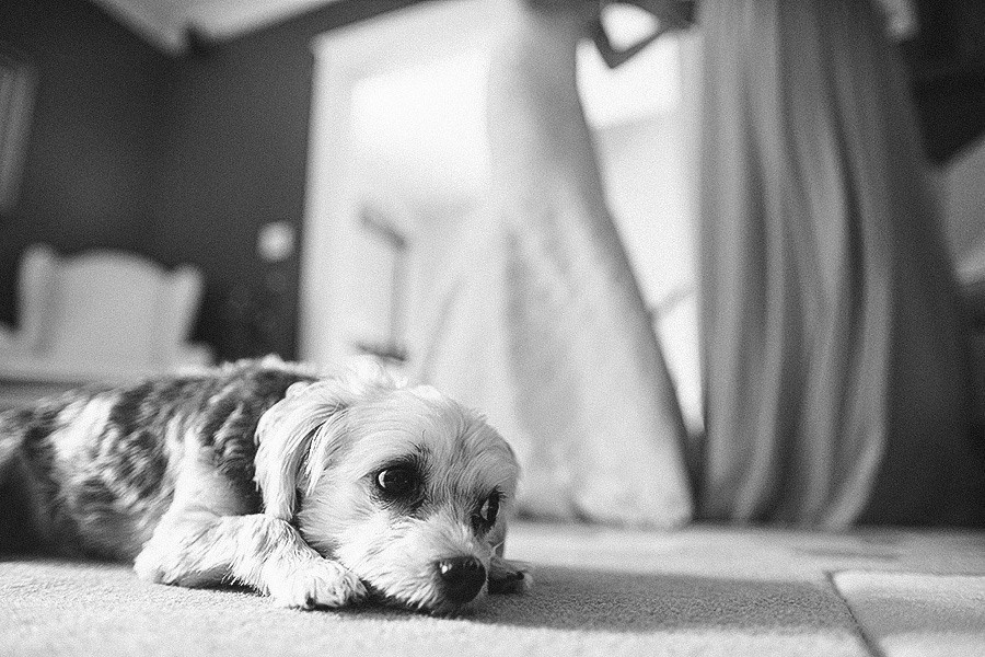 Michael & Marissa  – 9/19/2014. Emin Kuliyev — Award-Winning Wedding Photojournalist NYC & USA | Best Wedding Photographer Known for Candid, Timeless Moments