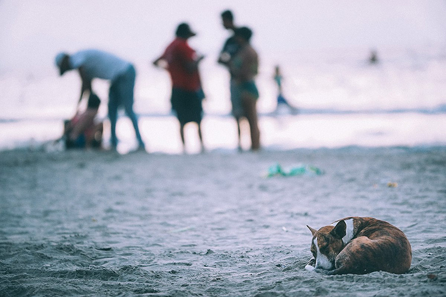 Cartagena (Colombia)  – Convención 2014 (August 25th-28th). Emin Kuliyev — Award-Winning Wedding Photojournalist NYC & USA | Best Wedding Photographer Known for Candid, Timeless Moments