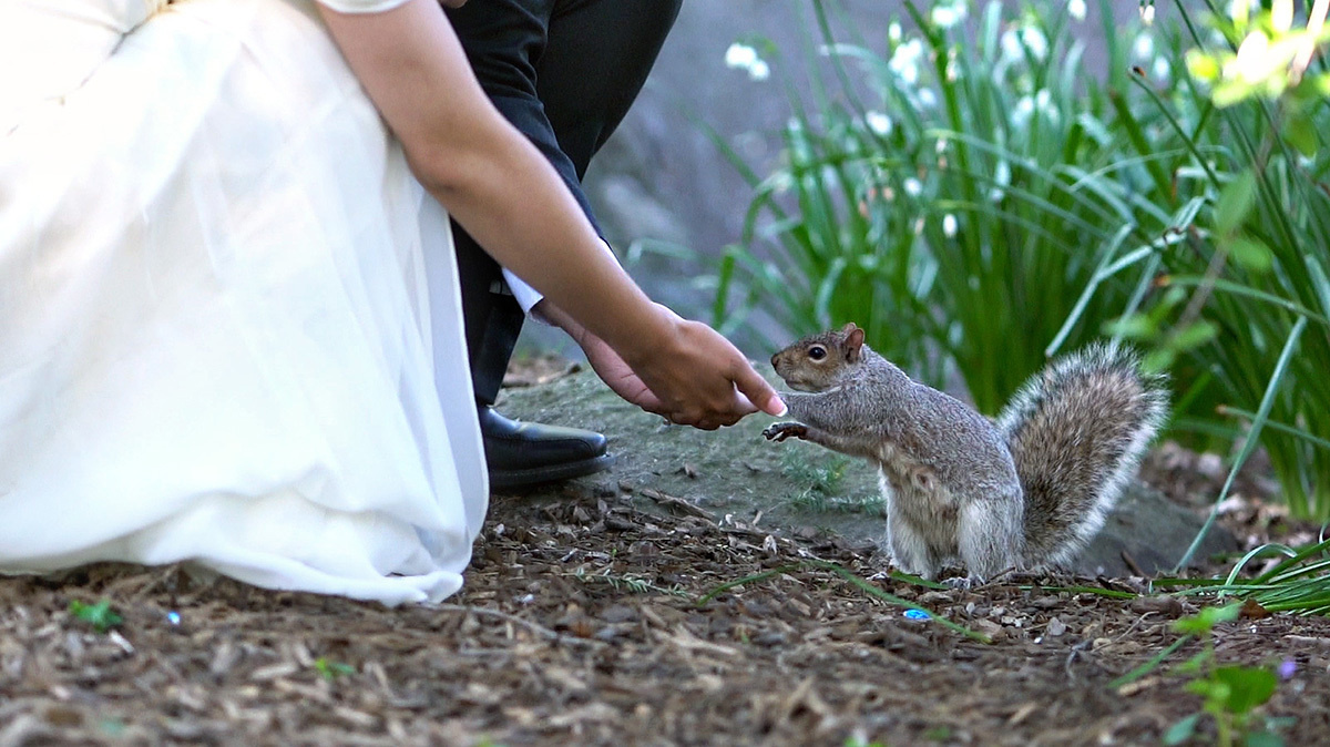 Bo & Emma – April 24th, 2016. Emin Kuliyev — Award-Winning Wedding Photojournalist NYC & USA | Best Wedding Photographer Known for Candid, Timeless Moments