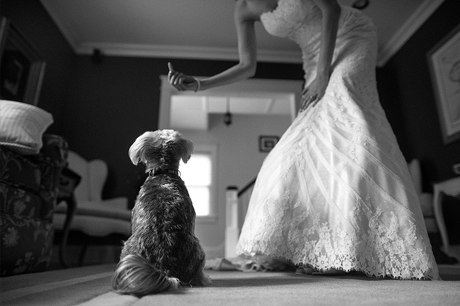 Michael & Marissa  – 9/19/2014. Emin Kuliyev — Award-Winning Wedding Photojournalist NYC & USA | Best Wedding Photographer Known for Candid, Timeless Moments