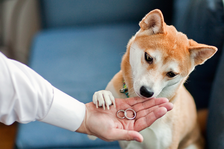 Connie & Bryan – Wedding March 14th, 2010. Emin Kuliyev — Award-Winning Wedding Photojournalist NYC & USA | Best Wedding Photographer Known for Candid, Timeless Moments