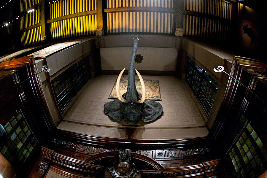 Selin & Jordan – 2/12/2011 (Harvard Club of New York City). Emin Kuliyev — Award-Winning Wedding Photojournalist NYC & USA | Best Wedding Photographer Known for Candid, Timeless Moments