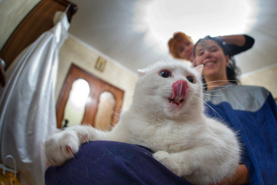 Alexandr & Nastya – 09/13/2008. Emin Kuliyev — Award-Winning Wedding Photojournalist NYC & USA | Best Wedding Photographer Known for Candid, Timeless Moments