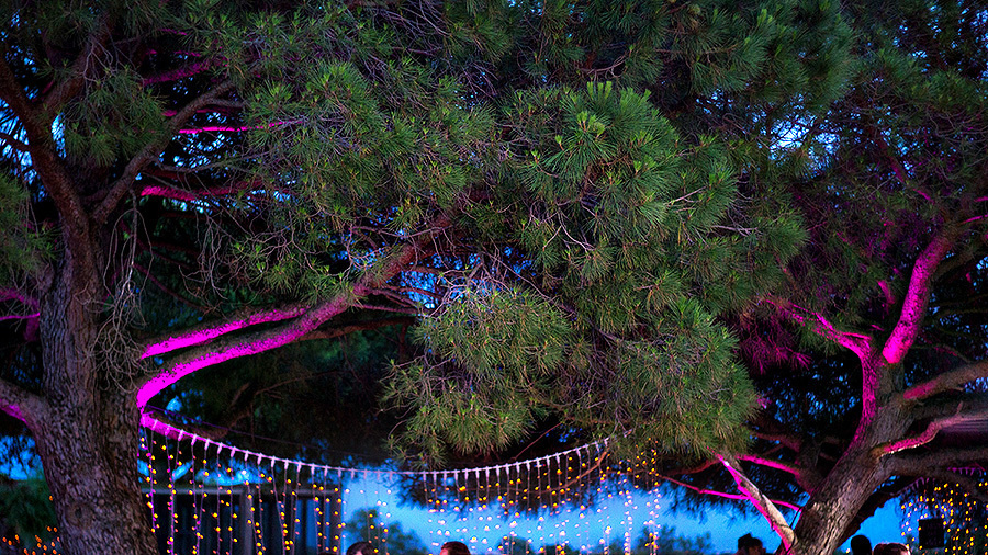 Yulia & Slava wedding (Le Mas de la Fouque ,France) – 6.14.2014 (Day T. Emin Kuliyev — Award-Winning Wedding Photojournalist NYC & USA | Best Wedding Photographer Known for Candid, Timeless Moments