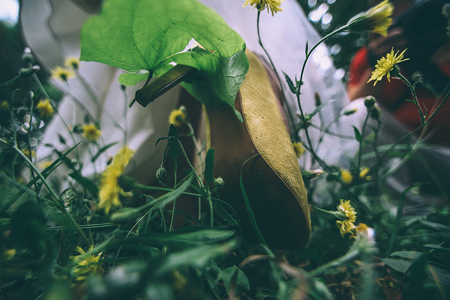 Krasnodar (Russia) – 2014 August (5-9). Emin Kuliyev — Award-Winning Wedding Photojournalist NYC & USA | Best Wedding Photographer Known for Candid, Timeless Moments