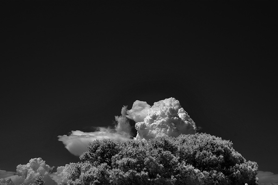 Yulia & Slava wedding (Le Mas de la Fouque ,France) – 6.13.2014 (Day o. Emin Kuliyev — Award-Winning Wedding Photojournalist NYC & USA | Best Wedding Photographer Known for Candid, Timeless Moments