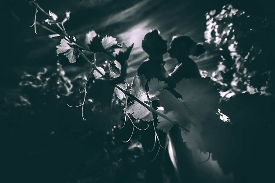 Yulia & Slava wedding (Le Mas de la Fouque ,France) – 6.14.2014 (Day T. Emin Kuliyev — Award-Winning Wedding Photojournalist NYC & USA | Best Wedding Photographer Known for Candid, Timeless Moments