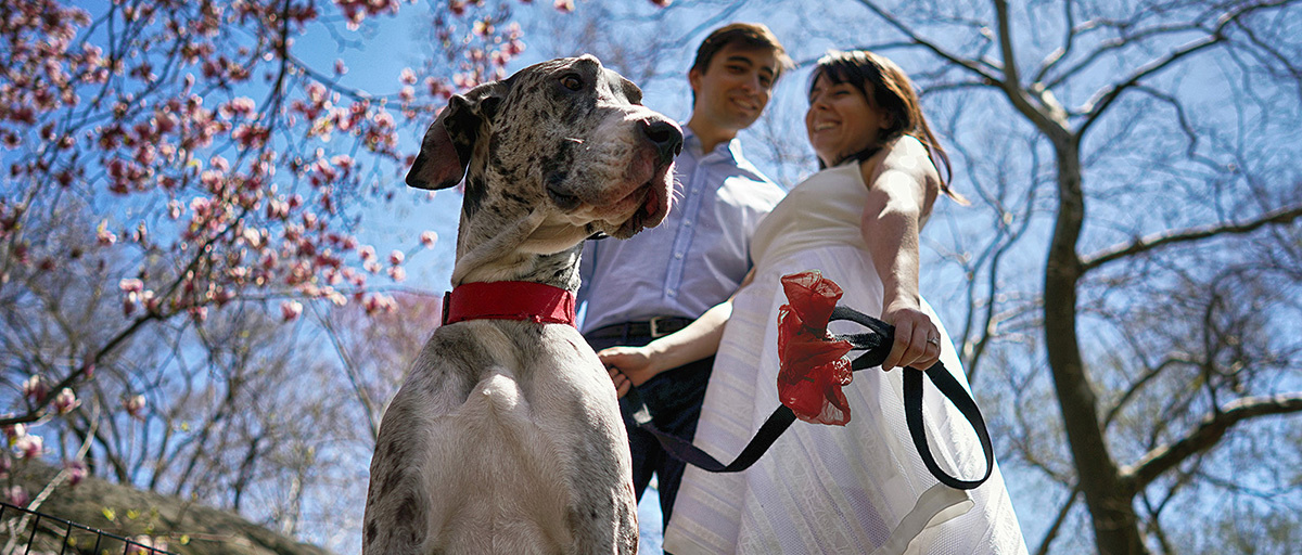 Roxana & Ruslan – 4.22.2018. Emin Kuliyev — Award-Winning Wedding Photojournalist NYC & USA | Best Wedding Photographer Known for Candid, Timeless Moments
