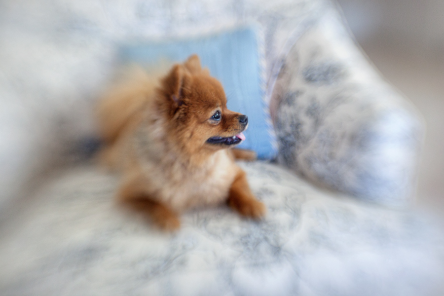 Michelle & Frank– May 19th,2012. Emin Kuliyev — Award-Winning Wedding Photojournalist NYC & USA | Best Wedding Photographer Known for Candid, Timeless Moments