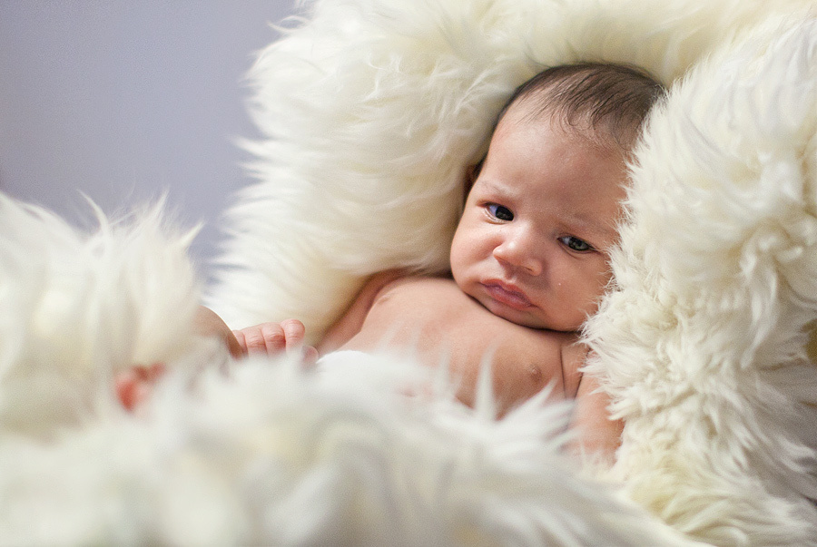 Family Photosession – Ada,Cesar and Sebastian. Emin Kuliyev — Award-Winning Wedding Photojournalist NYC & USA | Best Wedding Photographer Known for Candid, Timeless Moments