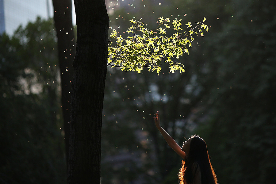 Shixin & Fei  –  E-Session (May, 16th, 2013). Emin Kuliyev — Award-Winning Wedding Photojournalist NYC & USA | Best Wedding Photographer Known for Candid, Timeless Moments