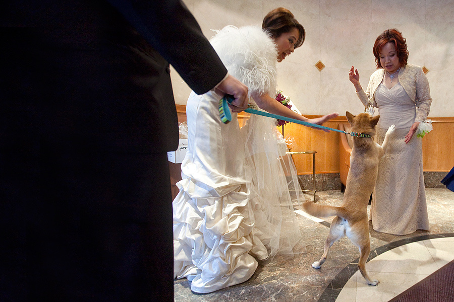 Connie & Bryan – Wedding March 14th, 2010. Emin Kuliyev — Award-Winning Wedding Photojournalist NYC & USA | Best Wedding Photographer Known for Candid, Timeless Moments