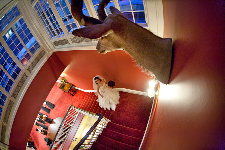 Selin & Jordan – 2/12/2011 (Harvard Club of New York City). Emin Kuliyev — Award-Winning Wedding Photojournalist NYC & USA | Best Wedding Photographer Known for Candid, Timeless Moments