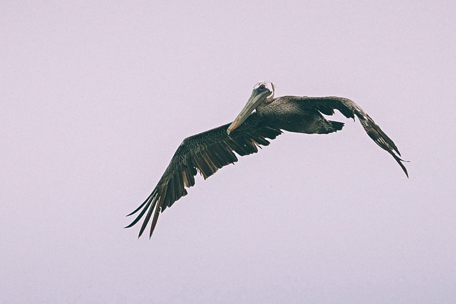 Cartagena (Colombia)  – Convención 2014 (August 25th-28th). Emin Kuliyev — Award-Winning Wedding Photojournalist NYC & USA | Best Wedding Photographer Known for Candid, Timeless Moments