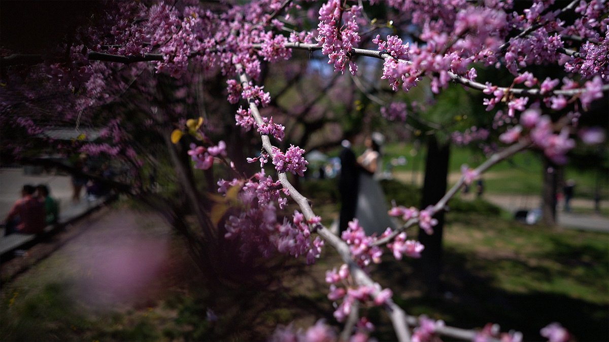Bo & Emma – April 24th, 2016. Emin Kuliyev — Award-Winning Wedding Photojournalist NYC & USA | Best Wedding Photographer Known for Candid, Timeless Moments